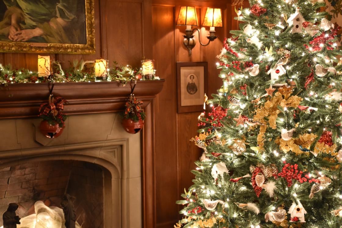 Photograph of a holiday tree in the Cranbrook House Reception Hall.