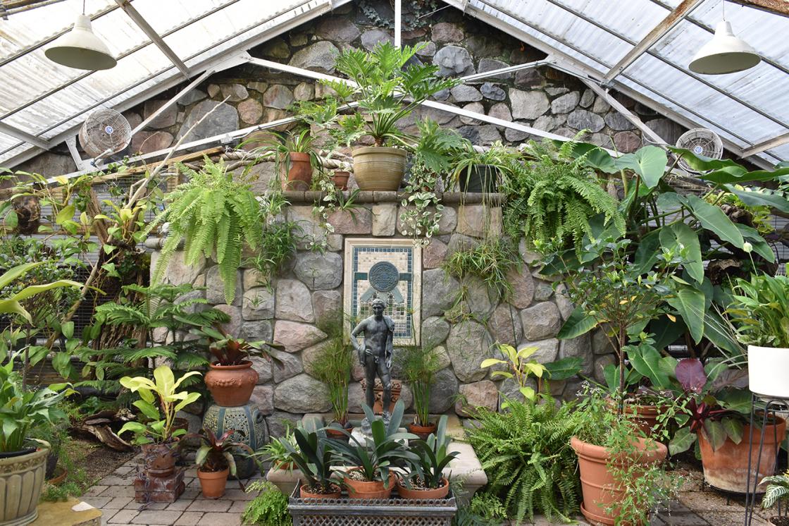 Photograph of Cranbrook's Conservatory Greenhouse.